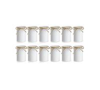 12Pcs Farmhouse Vase Decor Vintage Flower Vase with Twine Bow Metal Vases for Flowers Rustic Vase f