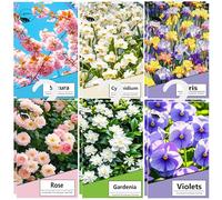 12PCS Saquitos Armario ambientador Lavanda, Perfumador Ropa, Ambientador Armario Ropa Limpia, Bolsa Guardarropa, Hogar Saquitos Armario Ropa, Bolsita Refrescador para Coche, Zapatero (híbrido12)