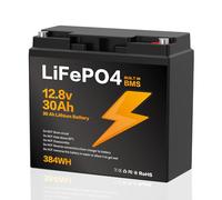12V 100Ah LiFePO4 Batterie,Lithium Batterie 12.8v 100Ah mit Smart BMS Schutz 15000 Zyklen Deep Cycle Lithium Akku,1280WH Lithiums Batteries 12.8V 100Ah für Wohnwagen,Camping (12V 30Ah)