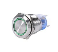 12V-24V 19mm Interruptor de Botón LED, Interruptor Autoblocante LED, Interruptor de Botón ON/Off para Luces LED (Verde)