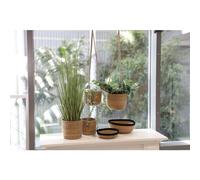 12x Florero Seagrass 3er Set Cesta Colgante de Luces Macetas Pflanzenboxen