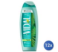 12x Paquete Vidal Ducha 250 Ml. Almizcle Blanco Hecho En Italia