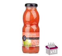 12x25Cl - Goyave Gilbert Nectar - 3L