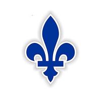 13 cm x 9,4 cm Quebec Fleur De Lys Canadá vinilo pegatina parachoques Autocollant Auto