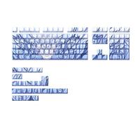 136pcs Dragon Keycap Set Side Print Backligit Keycaps Orlong Key Caps for Gaming Office Work Mechanical Ergonomische Tastaturzubehör