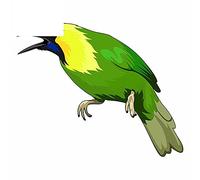 13cm x 10,3 cm para Green Kingfisher Cute oclusion Scratch Scratch Proof Car Stickers Trunk