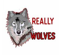 13cm x 10,7 cm para I Just Really Like Wolves Car Sticker Anime personalidad ventana