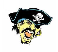 13cm x 10,9 cm para Vicious Pirate Anime pegatinas de coche vinilo JDM parachoques maletero camión