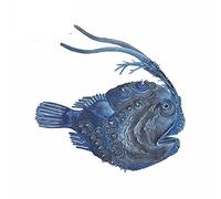 13cm x 12,7 cm para Ark Angler Fish Black Pearls Cartoon Bumper Car Stickers Laptop