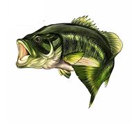 13cm x 35,7 cm divertido boca grande bajo pez pesca pegatina barco Kayak calcomanías coche