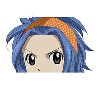 13cm x 8,1 cm para Fairy Tail Levy Mcgarden vinilo coche pegatinas impermeable parabrisas parachoques