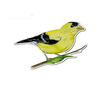 13cm x 8,7 cm pegatina de coche New Jersery State Bird Yellow Finch vinilo pegatina para