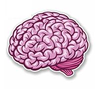 13cmx13cm Brain Anime Oem Car Stickers RV VAN 3D DIY Fine Decal Bumper