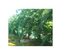 13Ft x 33Ft Anti Bird Protection Mesh Garden Netting Seedlings Plants Flowers Fruit Trees Vegetables from Rodents Deer Reusable Fencing, Green Gr
