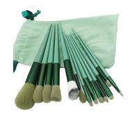 13Pcs Makeup Brushes Set, Super Soft Make Up Brush Set, with Portable Storage Bag Make Up Tool, Premium Foundation Brushes, For Concealers Eyeshadow Lip Gloss Make Up Brush Kits (Green)