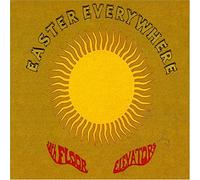 13th Floor Elevators - Easter Everywhere