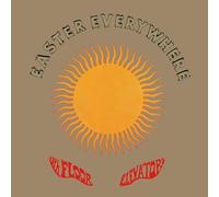 13th Floor Elevators – Easter Everywhere – CD – Charly (Importación USA)