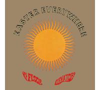 13th Floor Elevators – Easter Everywhere – CD – Charly (Importación USA)