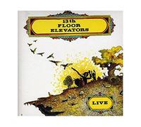 13th Floor Elevators - Live