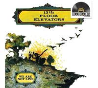 13th Floor Elevators - We Are Not Live [Vinilo]