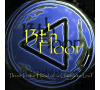 13th Floor - Three in The Hand of a Concrete Leaf