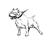 14.6 x 12.1CM Pegatina de Vinilo de Perro American Bully Lovely Mascota para Decoración de Parabrisas Trasero de Coche, para Moto, Bicicleta, Portátil, Nevera, Casco, Decoración