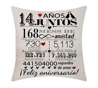 14 Aniversario de Boda Funda de Cojín 18x18 Pulgadas 14 Años de Matrimonio Regalo para Parejas Esposo Esposa Mamá Papá Colegas Amigos Aniversario de Boda(14)