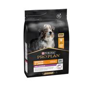 Medium & Large Adult 7+ 14 Kg - Perro