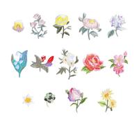 14 Piezas Floral Parches Ropa Termoadhesivos Parches para Ropa, para Ropa, Zapatos, Vaqueros, Sombreros