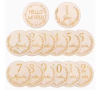 14 Pzs Tarjetas Mensuales para Bebés, Discos de Madera Letreros para Bebés de 1 a 12 Meses Letreros para Recién Nacidos para Decoraciones de Primer Cumpleaños de Baby Showers (Estilo 1)