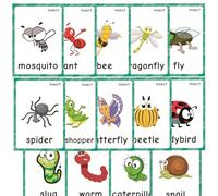 14 Tarjetas de Insectos para Aprender Las primeras Palabras en inglés, Ideales para Profesores/terapeutas de Autismo, Materiales didácticos de ESL para la Escuela en casa y Herramientas