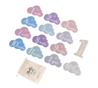 14 tarjetas de punto de referencia para recién nacido, acrílico con forma de dibujos animados, accesorios para capturar el crecimiento mensual del bebé, accesorios unisex en forma de nube