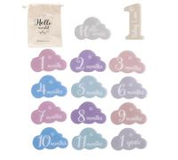 14 tarjetas de punto de referencia para recién nacido, acrílico con forma de dibujos animados, accesorios para capturar el crecimiento mensual del bebé, accesorios unisex en forma de nube