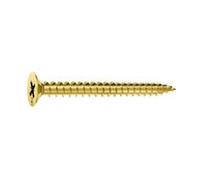 1410J185 - Tornillo Aglomerado Con Plástico 2,50X25Mm Pozi 25U E