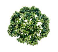 144 mini estambres artificiales de pistilo y tallo suave, bayas pequeñas de 20 mm para hacer pinzas de pelo de novia, parte superior de pastel, ramillete de muñeca, anillos de vela, corona, pulsera de