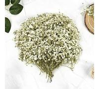 145 Piezas Flores Secas Naturales Gypsophila Paniculata Flores Prensadas Flores Secas Manualidades para Joyería de Resina Bricolaje Manualidades Resina álbumes de Recortes
