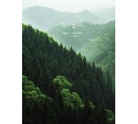 14CT Cuadros En Punto De Cruz Paisaje De Aves De Montaña Y Bosque Kits De Punto De Cruz Para Principiantes O Adultos,Diy Fácil Contado Costura Conjunto De Bordado Decoración Del Hogar 80x100cm