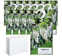 14PCS Saquitos Armario ambientador Lavanda, Perfumador Ropa, Ambientador Armario Ropa Limpia, Bolsa Guardarropa, Hogar Saquitos Armario Ropa, Bolsita Refrescador para Coche, Zapater (Sophora)