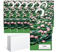 14PCS Saquitos Armario ambientador Lavanda, Perfumador Ropa, Ambientador Armario Ropa Limpia, Bolsa Guardarropa, Hogar Saquitos Armario Ropa, Bolsita Refrescador para Coche, Zapater (Loto)
