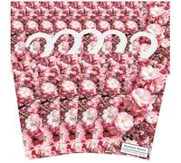 14PCS Saquitos Armario Ropa Ambientador Lavanda, Ambientador Armario Ropa Limpia, Hogar Perfumador Ropa, Bolsa Guardarropa, Bolsita Refrescador para Coche, Zapatero, Estanterías (Sakura)