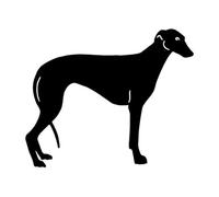 15.5x12.7cm Pegatina de Mascota Perro Galgo Clásica para Coche, Estilo Divertido Animal Decorativa, para Moto, Bicicleta, Portátil, Nevera, Teléfono Móvil, Casco, Decoración