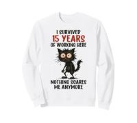 15 años de Aniversario de Trabajo, sobreviví 15 años de Trabajo Sudadera