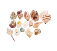 15 conchas marinas naturales para decoración de acuario, suministros de manualidades, accesorios de fiesta en la playa, hábitat para cangrejos ermitaños, materiales a prueba de hilos