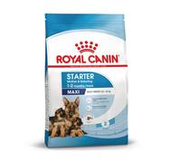 ROYAL CANIN Maxi Starter Mother & Babydog 15kg + sorpresa gratis