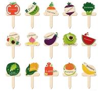 15 marcadores de madera tipo T para plantas con estilo de dibujos animados y nombres de plantas atrevidos para una organización eficiente de verduras y frutas de jardín (A)