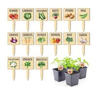 15-Pack Wooden Vegetable Plant Labels, T-Shape Garden Markers With Painted Patterns, Rustic Wood Tags For Raised Beds And Vegetable Rows