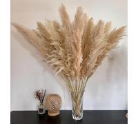 15 Piezas 100 cm de Hierba de la Pampa Grande, Ramo de Flores secas Naturales y esponjosas, Hierba de la Pampa XXL, para decoración del hogar Boho, decoración de Pared, Mesa, Boda, Dormitorio