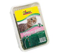 150 g GimCat Hierba Gatera en Bandeja
