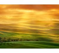 1500 Piezas Puzzle,Juegos de Rompecabezas para Juego Familiar - Meseta de Forma de línea 87x57cm