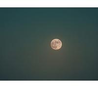 1500 Piezas Puzzle,Puzzles para Adultos - Luna Noche mar 87x57cm